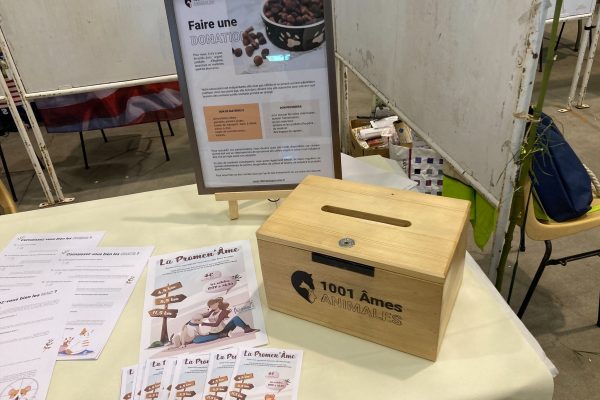 Le forum des Associations d’Argenton-sur-Creuse 2022 (17 et 18 septembre 2022)