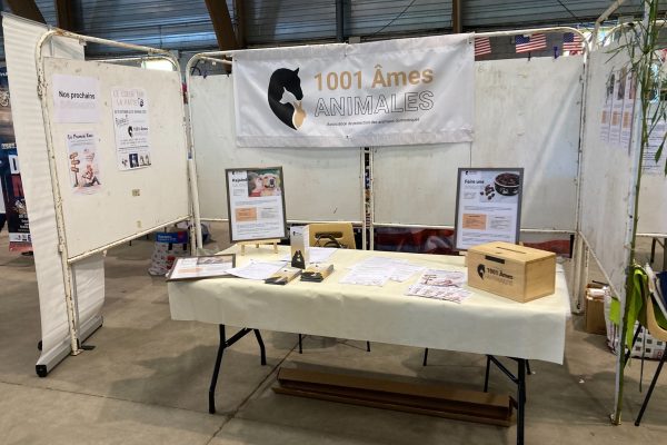 Le forum des Associations d’Argenton-sur-Creuse 2022 (17 et 18 septembre 2022)