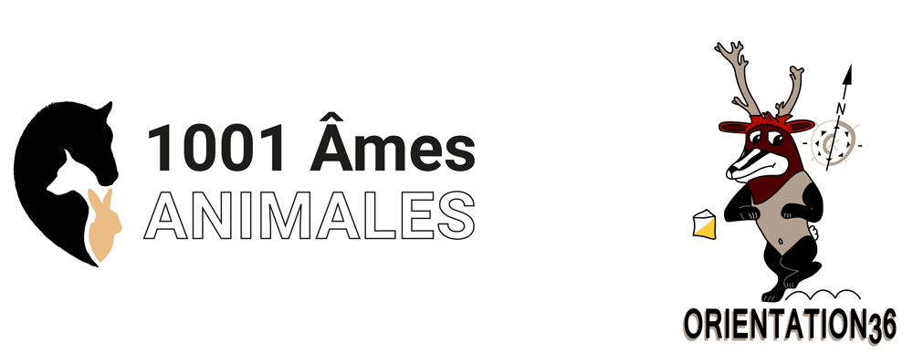 1001 âmes animales et Orientation 36